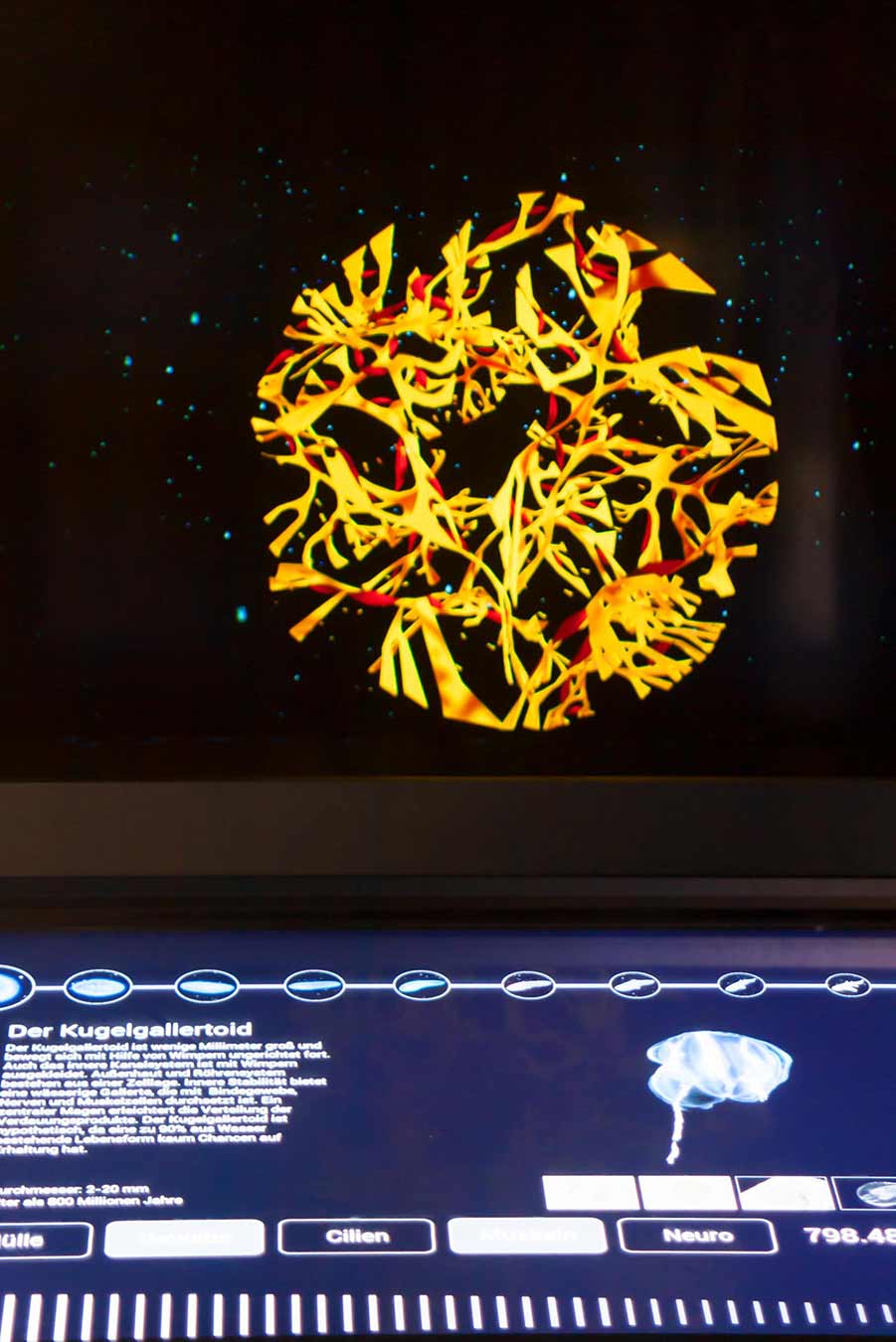 Evolutionslinien_pong_li_2
