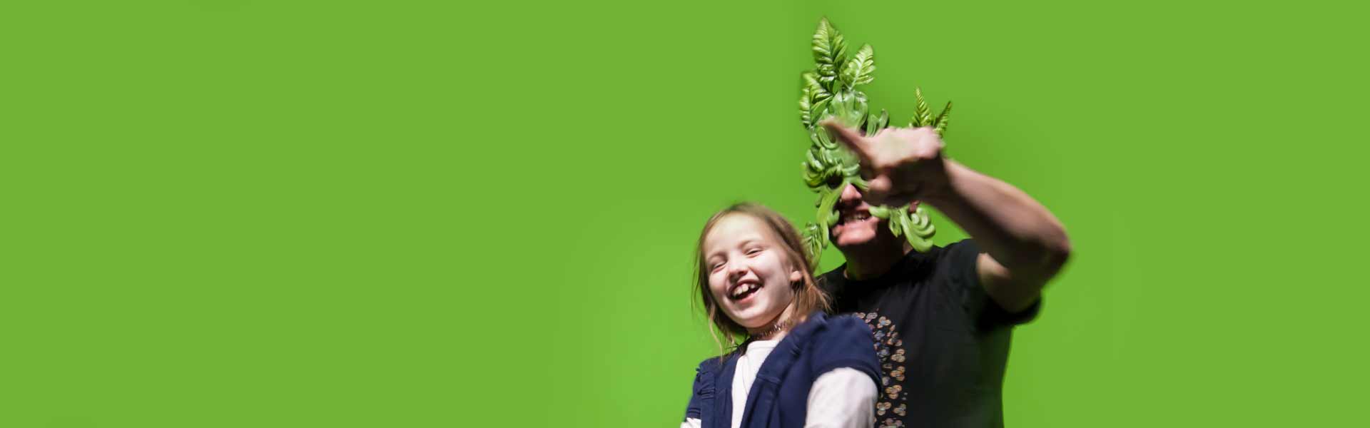 Greenscreen-Installation – Robin Hood-Ausstellung