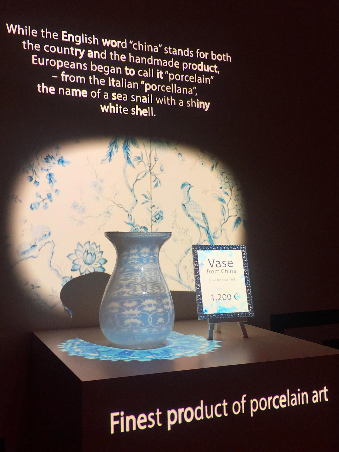 Sneaker_Vase_Projection_pong_li_3