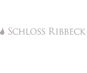 schloss-ribbeck_logo_pong_li